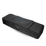 CASE VIOLON